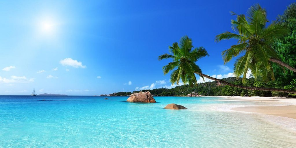 Beyond Beach Bliss