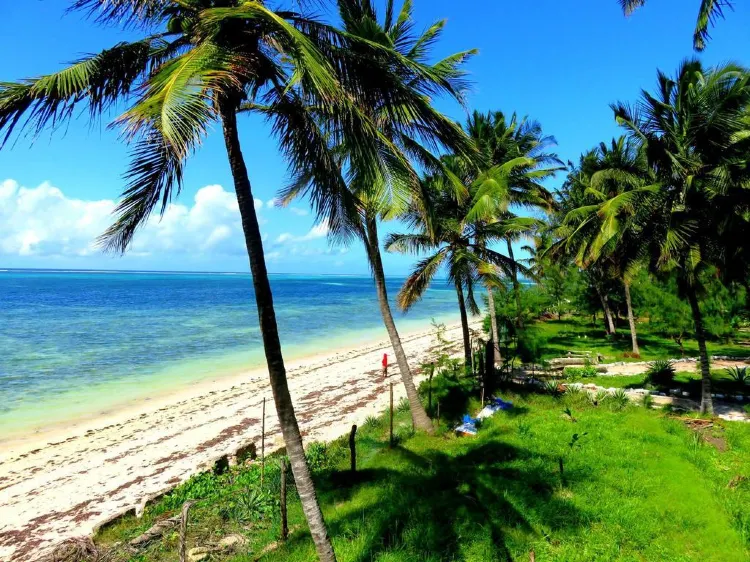 Shelly Beach