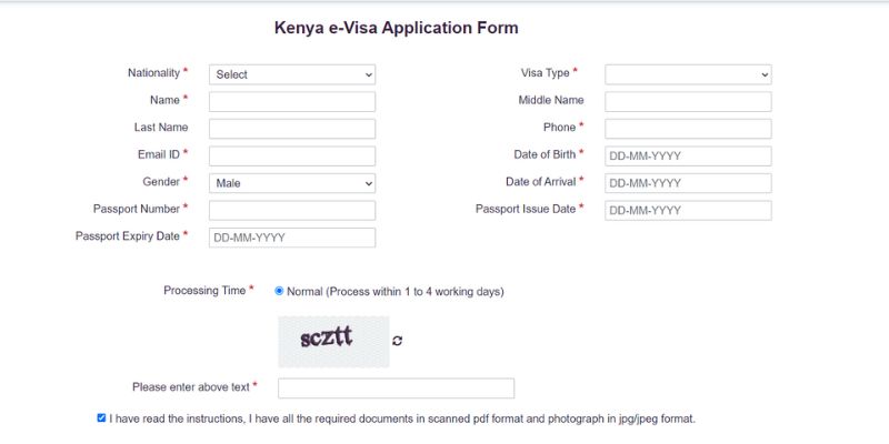 E-visa Made Easy A Step-by-Step Guide