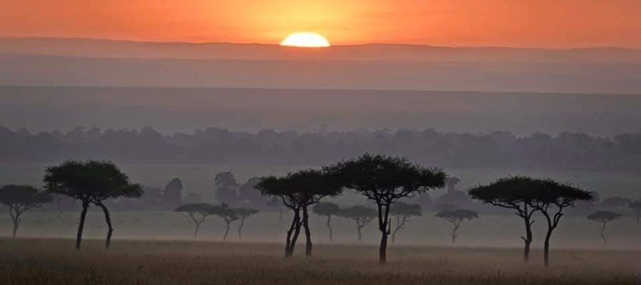 Kenya Maasai Mara