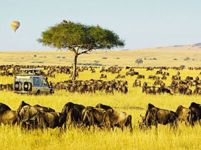 Masai Mara National Reserve