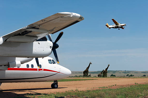 Domestic Flights within Kenya