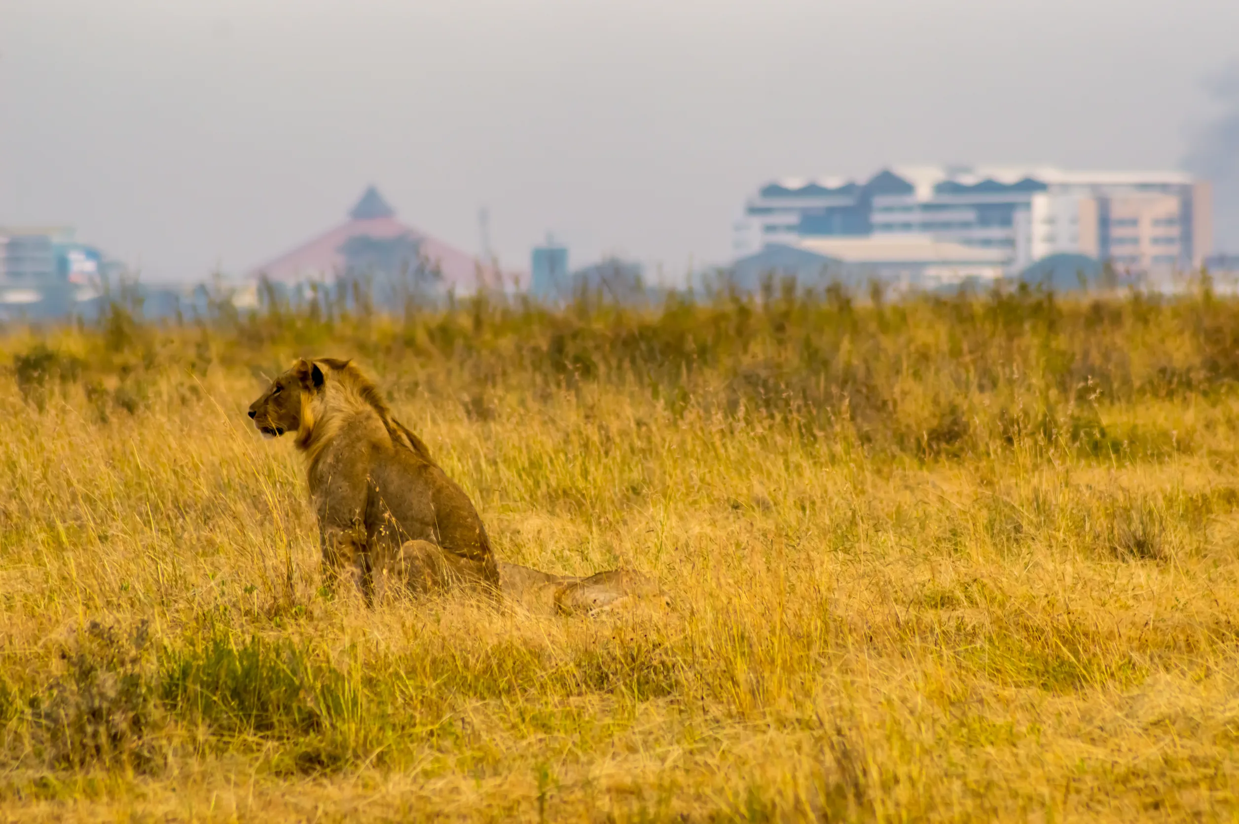Kenya Visa-Free Entry: Your 2025 Guide to the New ETA System!