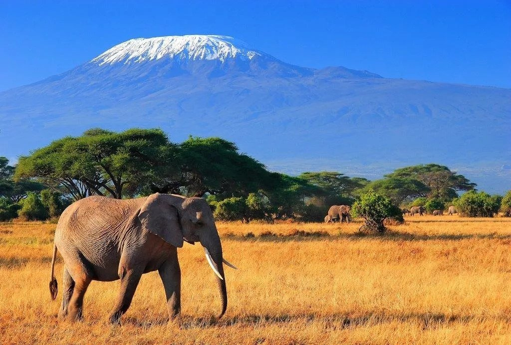 Applying for an East Africa Tourist Visa for Uganda