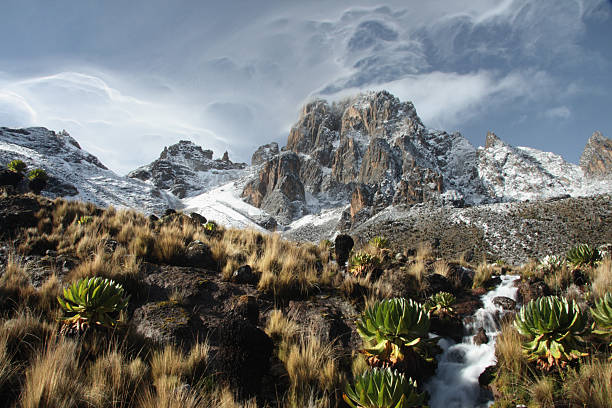 Hiking and Mountain Climbing
