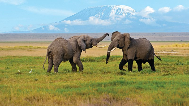 hot spot for tourists worldwide