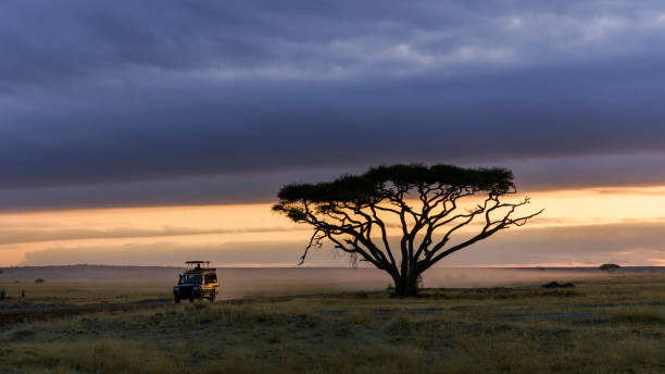 Kenya Travel Itinerary