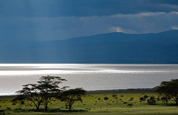 Lake Naivasha