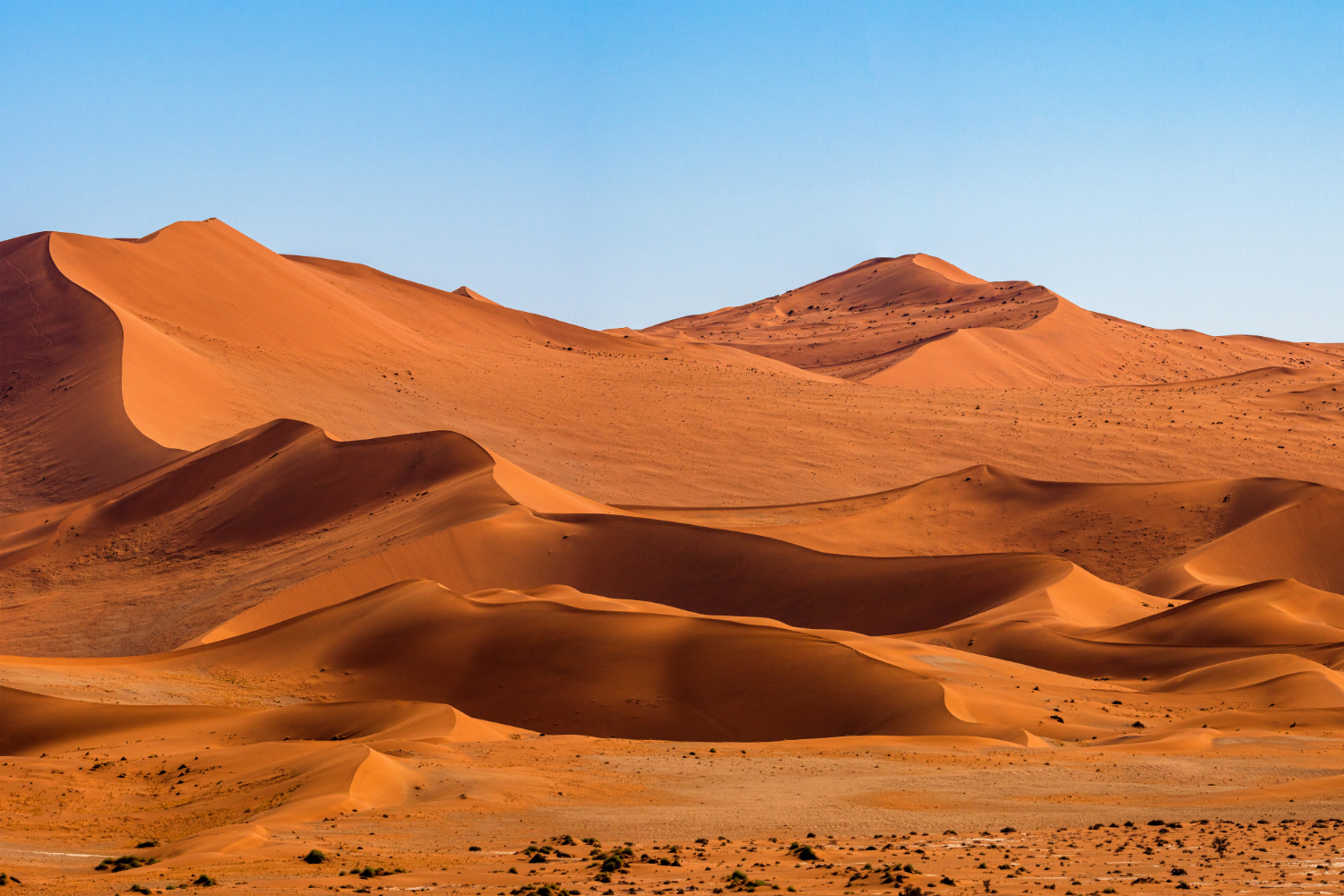Landscapes