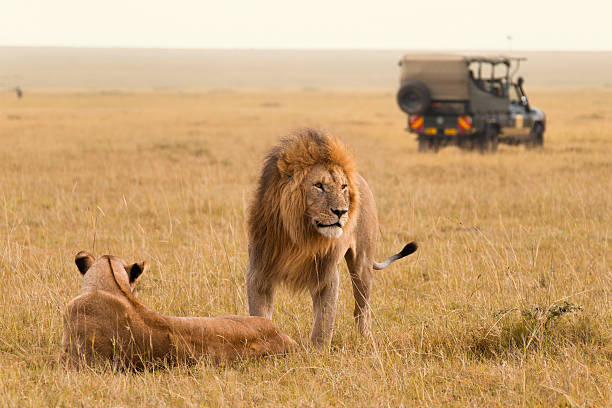 Maasai Mara National Reserve