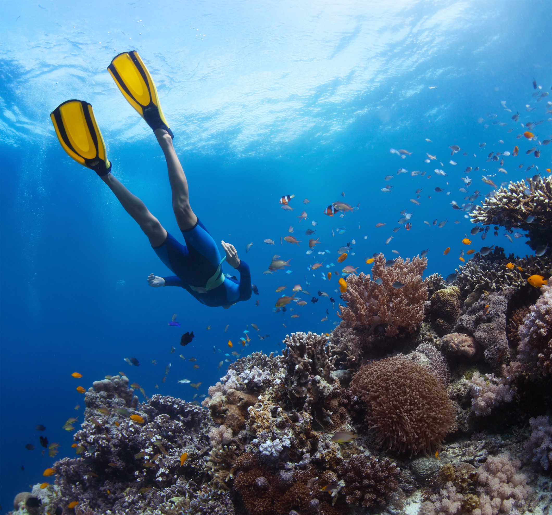 Malindi Marine National Park