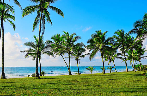 Mombasa and the Kenyan Coast Mombasa and the Kenyan Coast