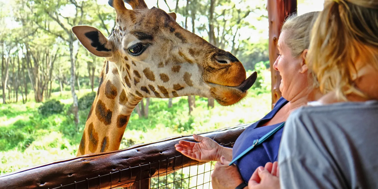 Karen Blixen Museum, Beads Craft, and Giraffe Experience
