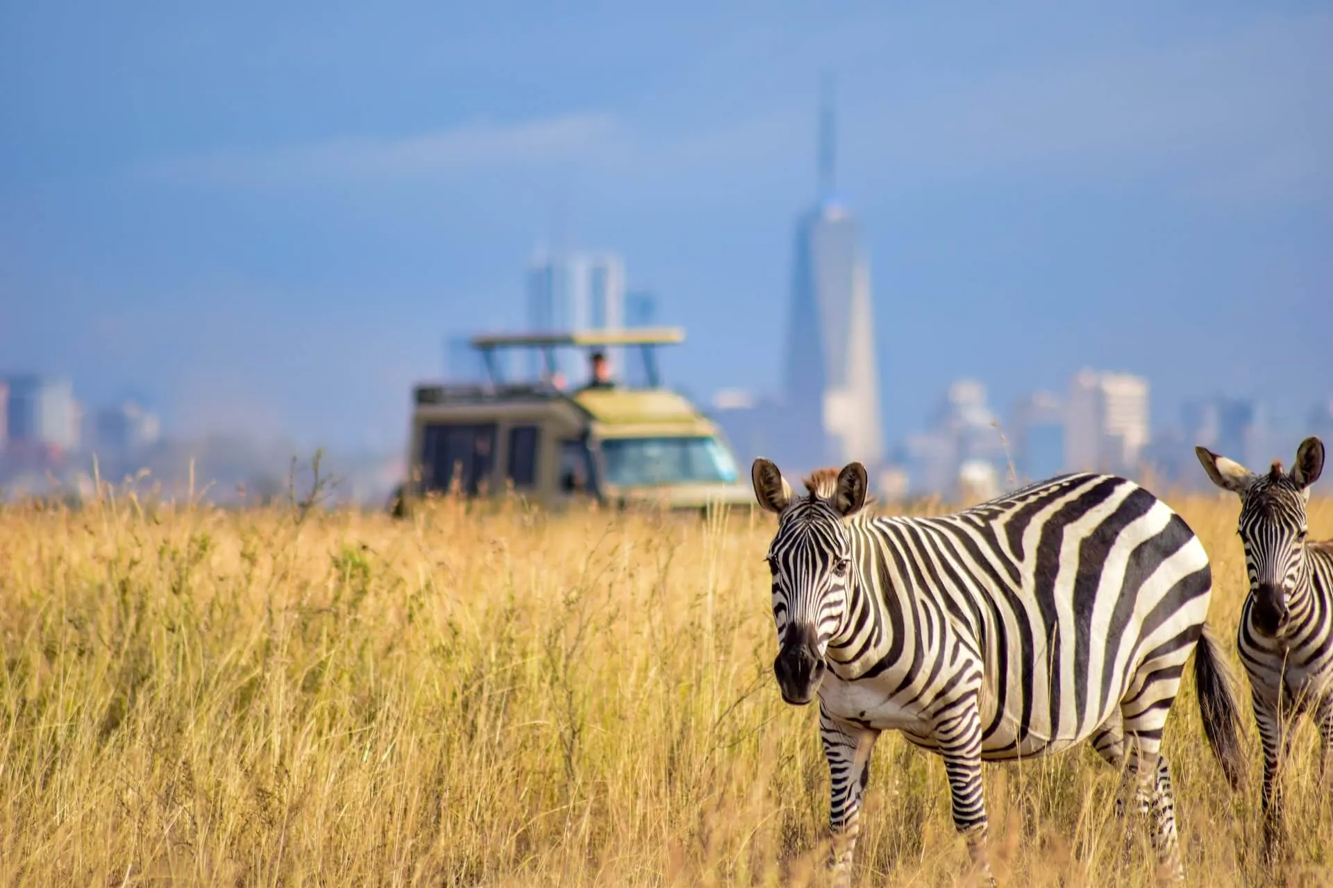Nairobi National Park, Elephant Orphanage, Giraffe Centre