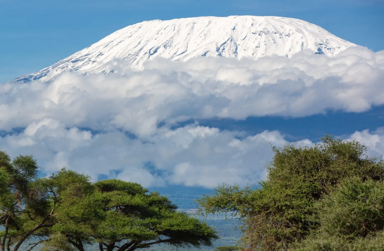 Amboseli Safari with Kilimanjaro Views