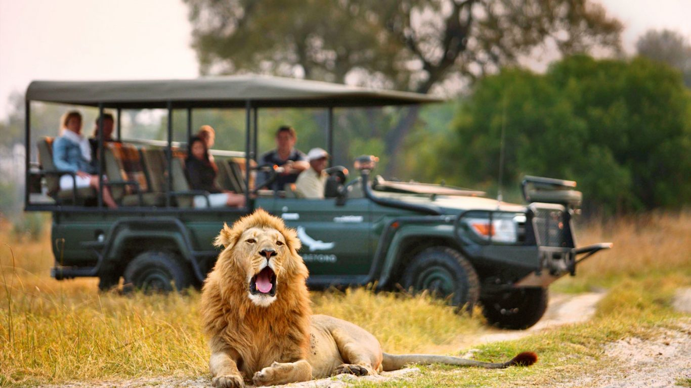 Travellers Out