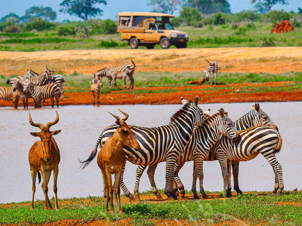 Tsavo National Parks